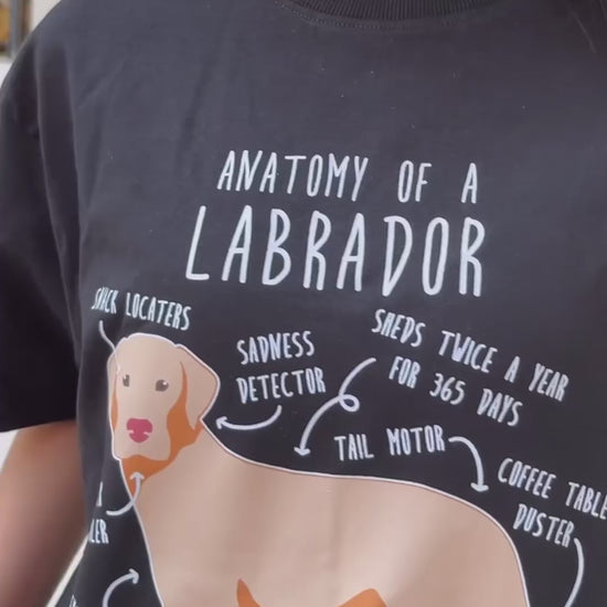 Unisex Anatomy of a Labrador Golden Oversized T-Shirt – 100% Cotton Dog Lover Apparel